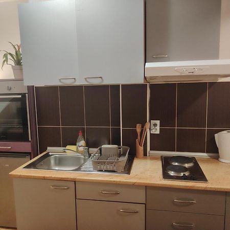 Studio Apartman Lenka Soko Banja Exteriör bild