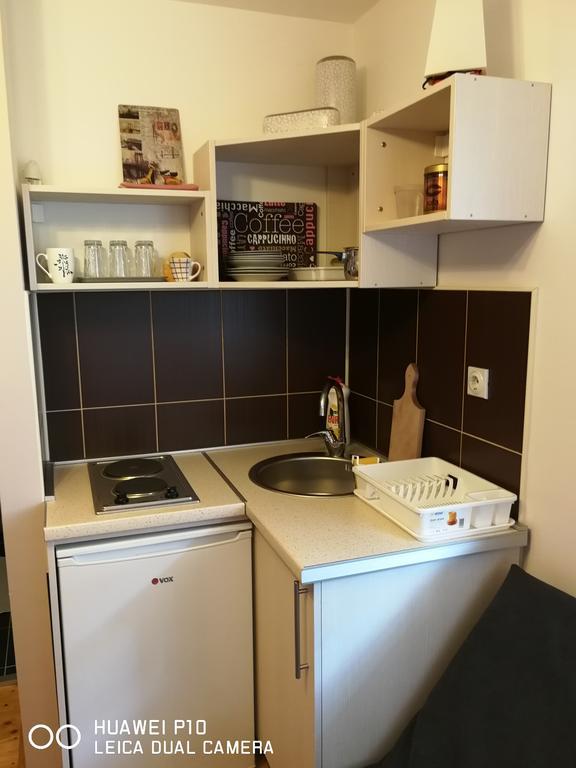Studio Apartman Lenka Soko Banja Exteriör bild
